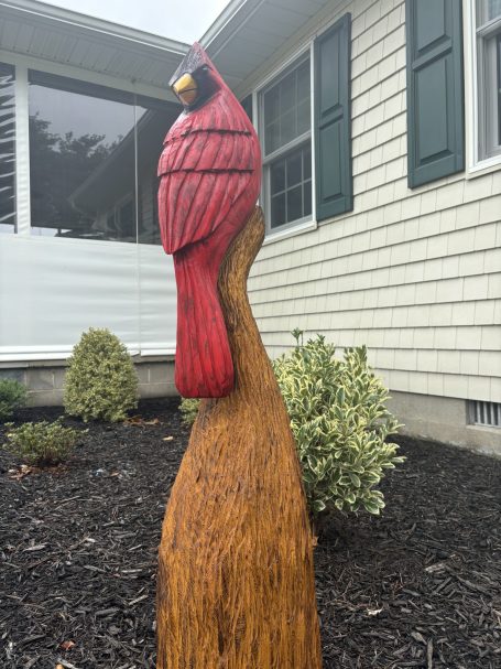 4 foot Cardinal